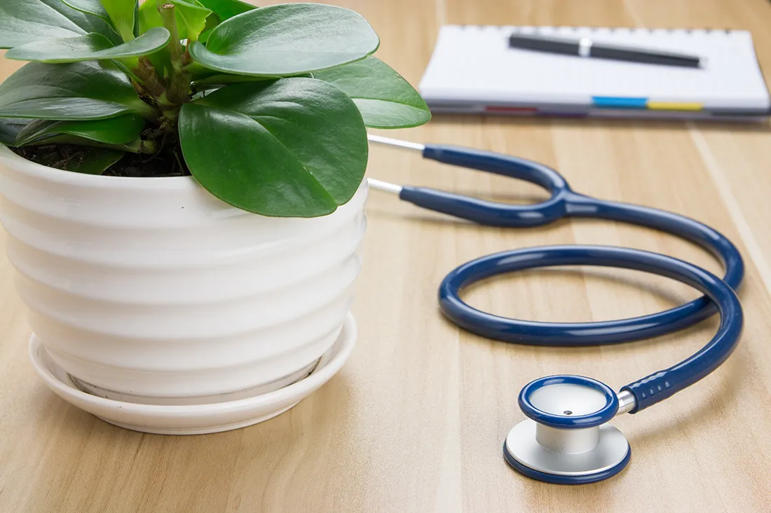 contact-us Thyroid Specialists office with plant and stethoscope